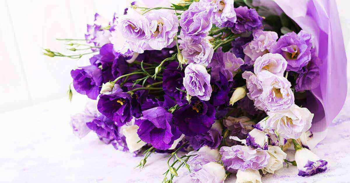リンドウの花言葉や由来 色別 紫色 白色 の意味から怖い意味まで丸わかり ウラソエ