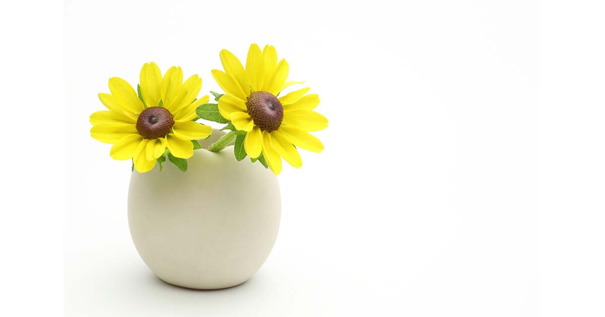 ルドベキアの花言葉や由来 色別 黄 えび茶色 の意味から怖い意味まで丸わかり ウラソエ