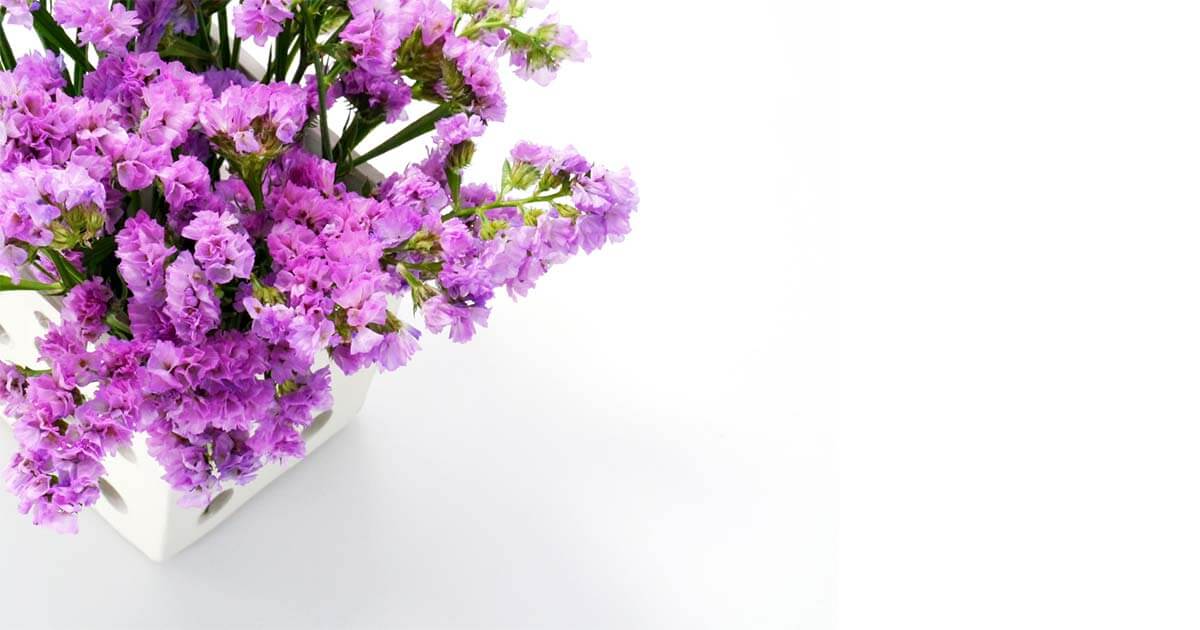 ジギタリスの花言葉や由来 色別 紫色 白色 ピンク の意味から怖い意味まで丸わかり ウラソエ Urasoe