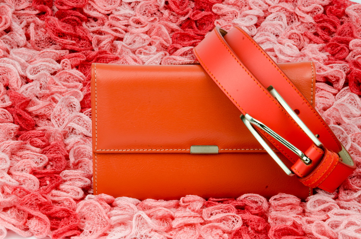 オレンジ色の財布は金運を上げる 風水学で見る財布 カラー ウラソエ